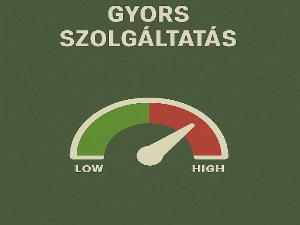 gyors_szolgaltatas